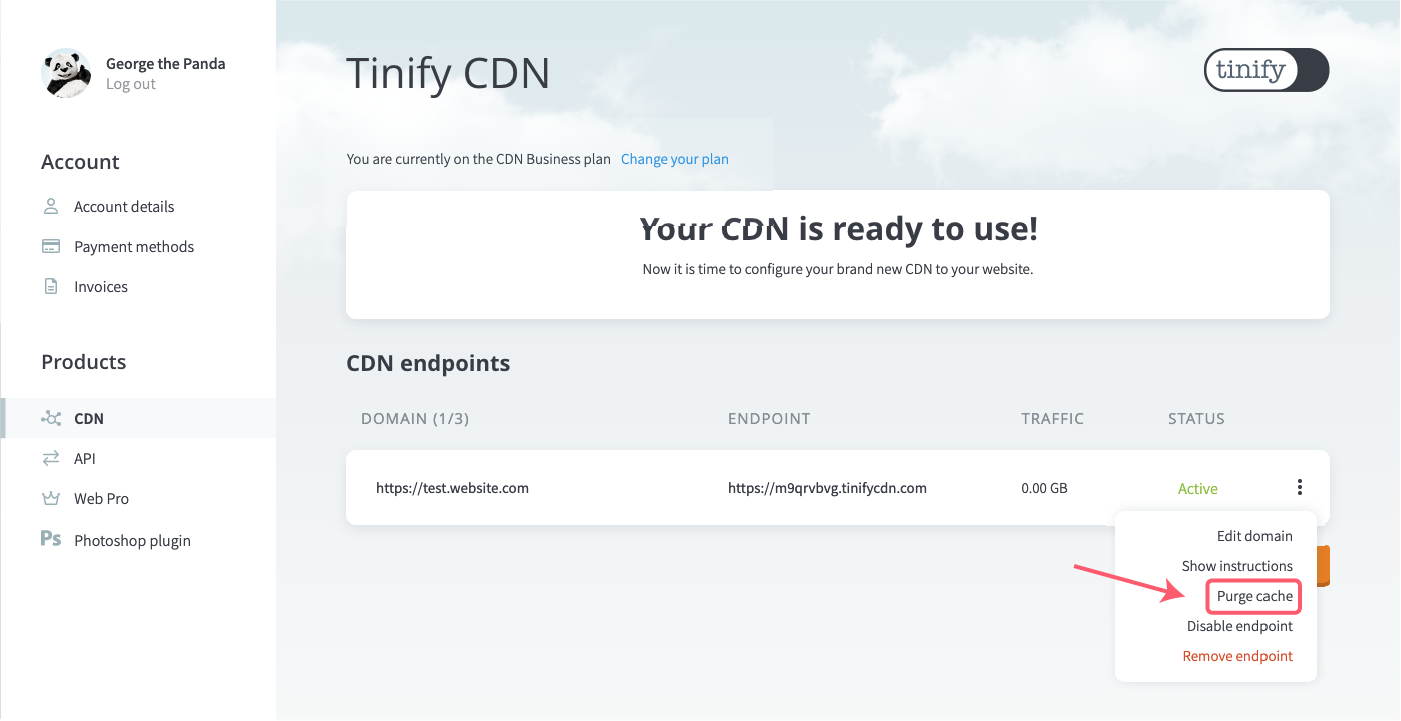 Tinify CDN在选项中选择清除缓存