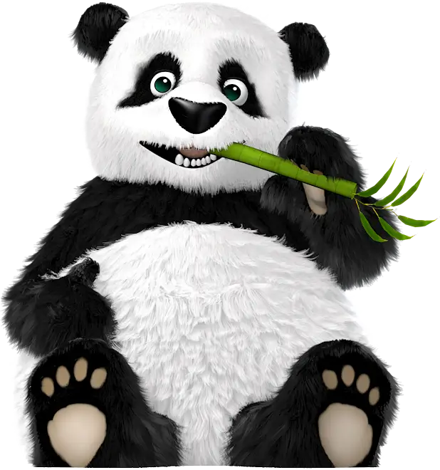Panda George chewing on bamboo stalk