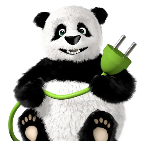 Panda with electrical cord